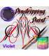 Pintura para Pinstripping 100 ml