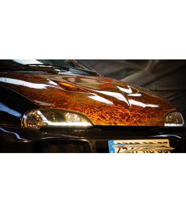 Cristalizador - Pintura coche efecto cristal