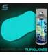 Kit completo de pintura fosforescente para bicicleta - STARDUST BIKE
