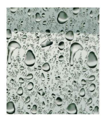 Película de transferencia para hidrografía