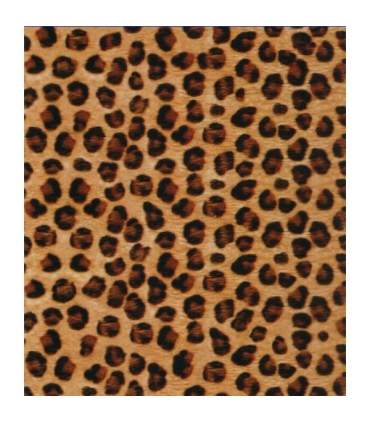 Película de transferencia para hidrografía