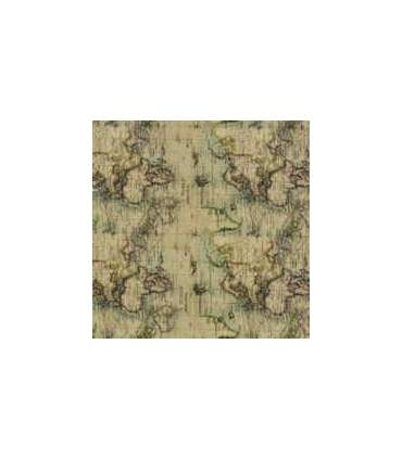 Película de transferencia para hidrografía