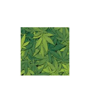 Película de transferencia para hidrografía