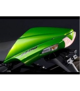 More about Pintura Verde Lima KAWASAKI - 40R - GOLDEN BLAZED GREEN MET