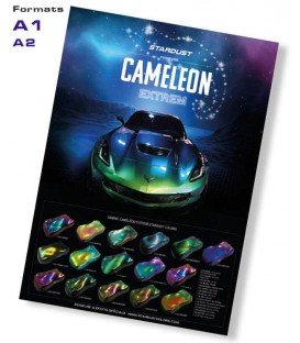 Poster camaleón Extrem