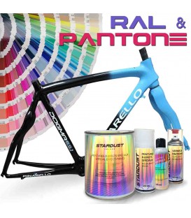 Kit de pintura RAL o PANTONE para bicicleta – Stardust Bike