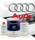 Código de color Audi - Bomba de pintura 2C  O bote con endurecedor