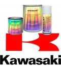 Pinturas de moto KAWASAKI - Tintas del constructor en base bicapa al disolvente