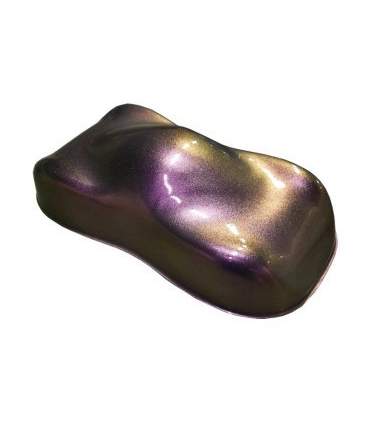 Pintura Camaleon al agua