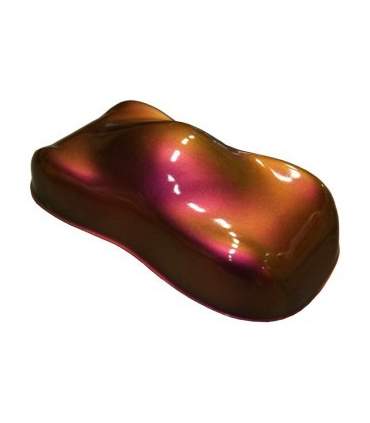 Pintura Camaleon al agua