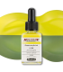 Los 36 colores standard Aero Color de Schmincke 28 ml