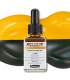 Los 36 colores standard Aero Color de Schmincke 28 ml