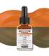 Los 36 colores standard Aero Color de Schmincke 28 ml