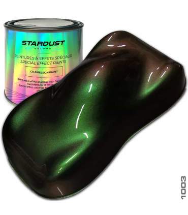 Kit Completo de pintura Camaleon 82062