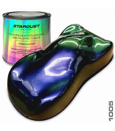 Kit Completo de pintura Camaleon 82062