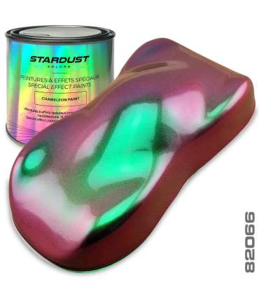 Kit Completo de pintura Camaleon 82062