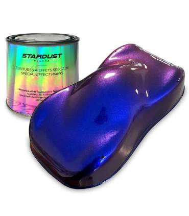 Kit Completo de pintura Camaleon 82062