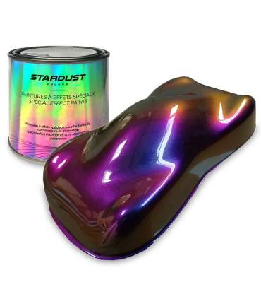 Kit Completo de pintura Camaleon 82062