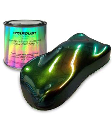 Kit Completo de pintura Camaleon 82062