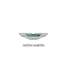 PINTURA COCHE ASTON MARTIN