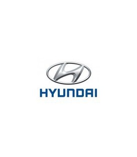 PINTURA COCHE HYUNDAI