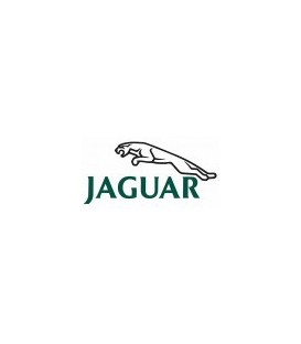 PINTURA COCHE JAGUAR