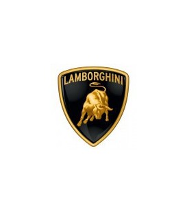 PINTURA COCHE LAMBORGHINI