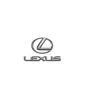 PINTURA COCHE LEXUS