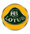 PINTURA COCHE LOTUS