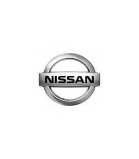 PINTURA COCHE NISSAN