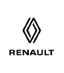 PINTURA COCHE RENAULT