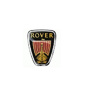 PINTURA COCHE ROVER