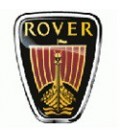 PINTURA COCHE ROVER