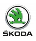 PINTURA COCHE SKODA