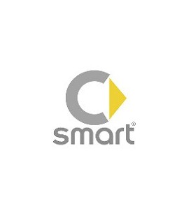 PINTURA COCHE SMART