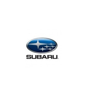 PINTURA COCHE SUBARU