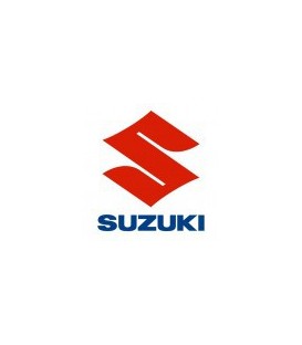 PINTURA COCHE SUZUKI