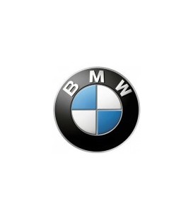 pintura para moto BMW