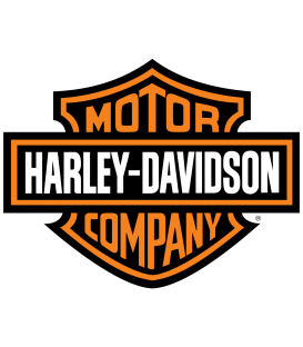 Pintura para moto HARLEY-DAVIDSON