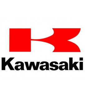 Pintura para moto KAWASAKI