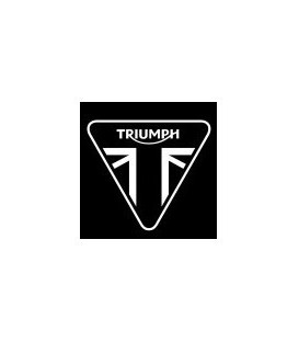 Pintura para moto TRIUMPH