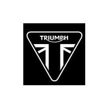 Pintura para moto TRIUMPH