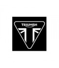 Pintura para moto TRIUMPH