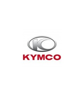 Pintura para moto KYMCO